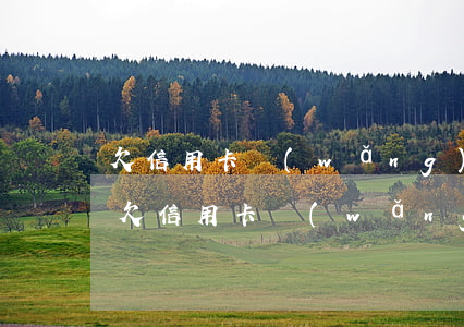 欠信用卡網(wǎng)貸30萬無力償還(欠信用卡網(wǎng)貸無力償還會怎樣)