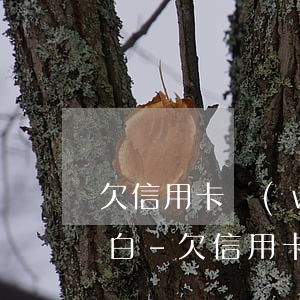 欠信用卡網(wǎng)貸30萬跟父母坦白-欠信用卡網(wǎng)貸30萬跟父母坦白有關(guān)系嗎