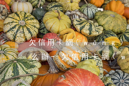 欠信用卡網(wǎng)貸30萬逾期了怎么辦-欠信用卡網(wǎng)貸30萬逾期了怎么辦呢