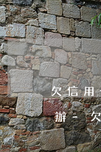 欠信用卡網(wǎng)貸30萬逾期怎么辦-欠信用卡網(wǎng)貸30萬逾期怎么辦理