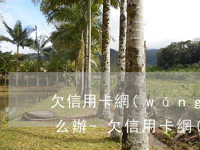 欠信用卡網(wǎng)貸40萬還不了怎么辦-欠信用卡網(wǎng)貸40萬還不了怎么辦呢