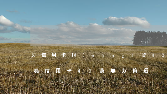 欠信用卡網(wǎng)貸40萬還能翻身嗎(信用卡40萬無力償還)