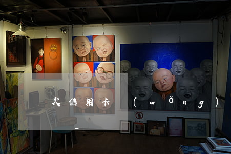 欠信用卡網(wǎng)貸46萬該何去何從-
