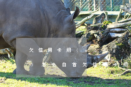 欠信用卡網(wǎng)貸50萬(wàn)怎么自首(欠信用卡網(wǎng)貸50萬(wàn)無(wú)力償還會(huì)坐牢嗎)