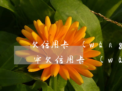 欠信用卡網(wǎng)貸50萬還不上坐牢(欠信用卡網(wǎng)貸50萬想死)