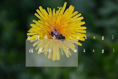 欠信用卡網(wǎng)貸50萬還不上(欠信用卡網(wǎng)貸50萬無力償還會坐牢嗎)
