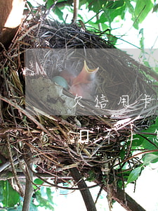 欠信用卡網(wǎng)貸5萬(wàn)還不上怎么上岸-欠了5萬(wàn)信用卡