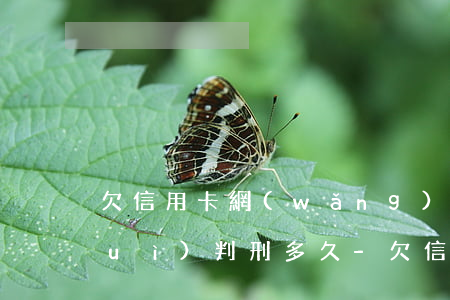 欠信用卡網(wǎng)貸60多萬會(huì)判刑多久-欠信用卡網(wǎng)貸60多萬會(huì)判刑多久呢