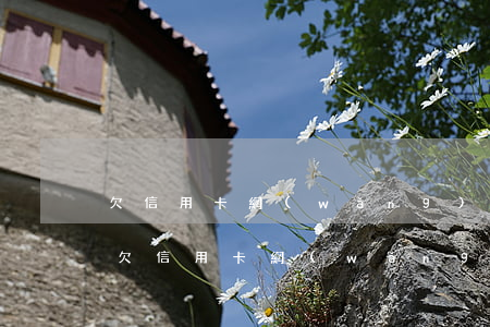 欠信用卡網(wǎng)貸60萬7年沒還(欠信用卡網(wǎng)貸60萬如何自救)
