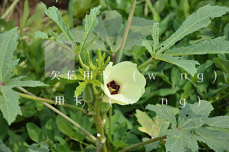 欠信用卡網(wǎng)貸70多萬-欠信用卡網(wǎng)貸70多萬 還能貸款買房嗎