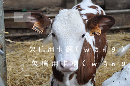 欠信用卡網(wǎng)貸70萬無力償還(欠信用卡網(wǎng)貸無力償還會怎樣)
