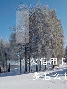 欠信用卡網(wǎng)貸7萬(wàn)多怎么坦白(欠信用卡8萬(wàn)怎么上岸)