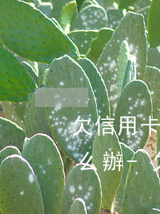欠信用卡網(wǎng)貸80萬究竟該怎么辦-欠信用卡網(wǎng)貸80萬究竟該怎么辦呢