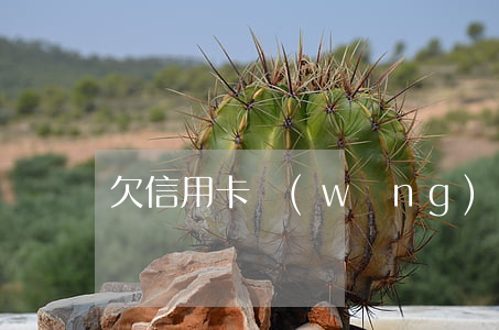 欠信用卡網(wǎng)貸9萬還不上