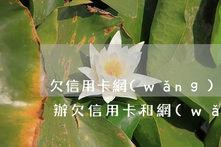 欠信用卡網(wǎng)貸9萬還不上怎么辦(欠信用卡和網(wǎng)貸幾十萬無力償還)