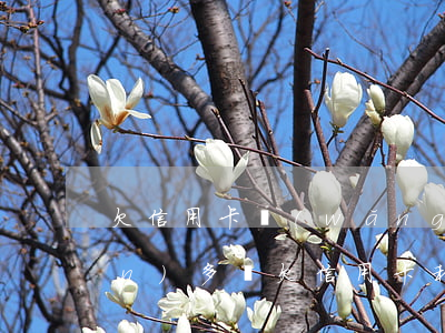 欠信用卡網(wǎng)貸一共五萬(wàn)多嗎(欠信用卡和網(wǎng)貸幾十萬(wàn)無(wú)力償還)