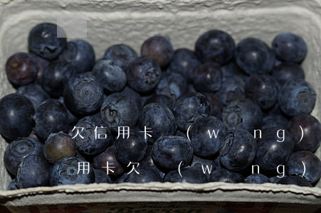 欠信用卡網(wǎng)貸一時還不上(欠信用卡欠網(wǎng)貸沒錢還怎么辦?)