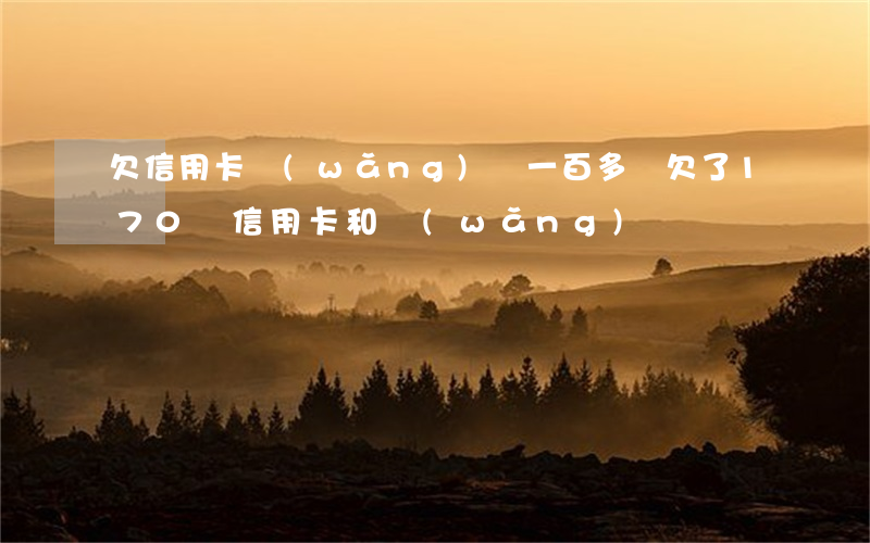 欠信用卡網(wǎng)貸一百多萬(欠了170萬信用卡和網(wǎng)貸)