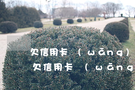 欠信用卡網(wǎng)貸一百萬全部逾期(欠信用卡網(wǎng)貸100萬無力償還)