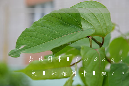 欠信用卡網(wǎng)貸一百萬會坐牢么(欠銀行信用卡貸款100萬會坐牢嗎)