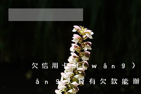 欠信用卡網(wǎng)貸一般多久(網(wǎng)貸有欠款能辦信用卡嗎)
