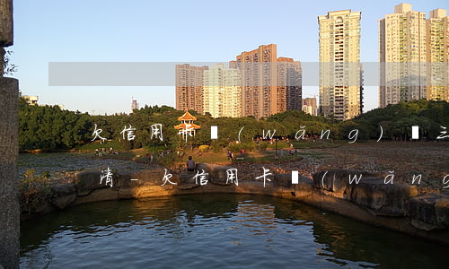 欠信用卡網(wǎng)貸三十幾萬怎么還清-欠信用卡網(wǎng)貸三十幾萬怎么還清呢