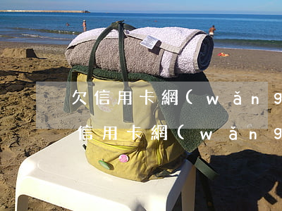 欠信用卡網(wǎng)貸三十萬怎么辦(欠信用卡網(wǎng)貸30萬)
