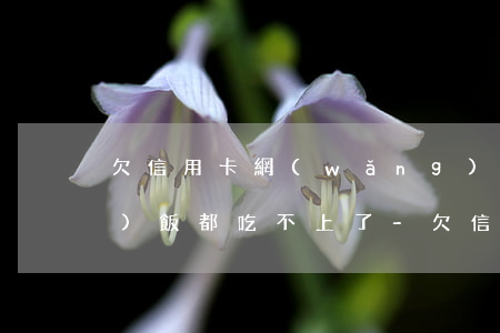 欠信用卡網(wǎng)貸五十萬(wàn)飯都吃不上了-欠信用卡網(wǎng)貸50萬(wàn)無(wú)力償還會(huì)坐牢嗎