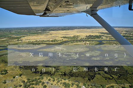 欠信用卡網(wǎng)貸人死(欠網(wǎng)貸信用卡死亡)