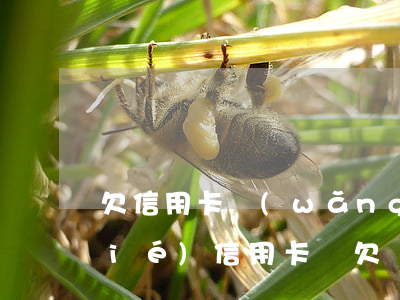 欠信用卡網(wǎng)貸六萬會凍結(jié)信用卡嗎(欠網(wǎng)貸信用卡會凍結(jié)銀行卡么)