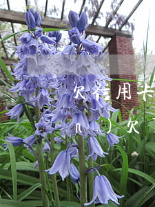 欠信用卡網(wǎng)貸共90萬(wàn)(欠了170萬(wàn)信用卡和網(wǎng)貸)