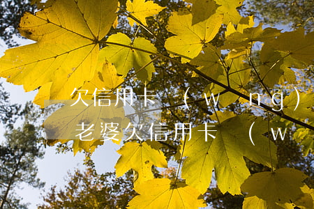欠信用卡網(wǎng)貸十來萬如何告訴老婆(欠信用卡網(wǎng)貸十來萬如何告訴老婆)