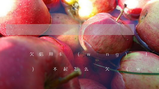 欠信用卡網(wǎng)貸十幾萬(wàn)還不起怎么辦(欠網(wǎng)貸信用卡十幾萬(wàn)還不上怎么辦)