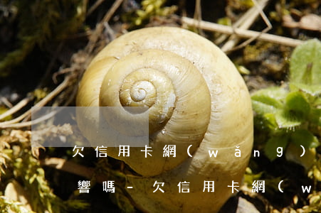 欠信用卡網(wǎng)貸去外地打工有影響嗎-欠信用卡網(wǎng)貸去外地打工有影響嗎知乎