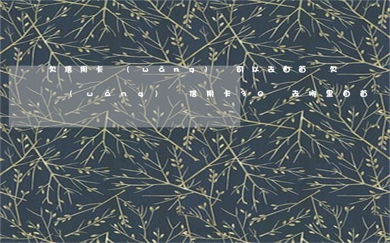 欠信用卡網(wǎng)貸可以去自首嗎(欠網(wǎng)貸信用卡30萬去哪里自首)