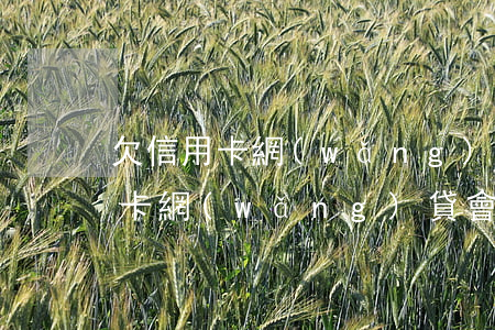 欠信用卡網(wǎng)貸可以逃嗎(欠信用卡網(wǎng)貸會坐牢嗎)
