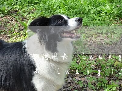 欠信用卡網(wǎng)貸在逃(欠信用卡會成網(wǎng)逃嗎)