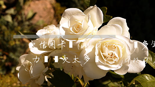 欠信用卡網(wǎng)貸多年無(wú)力償還(欠太多網(wǎng)貸信用卡無(wú)力償還)
