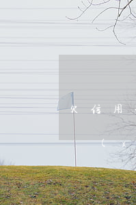欠信用卡網(wǎng)貸小貸還不起了(我現(xiàn)在信用卡和網(wǎng)貸全部逾期還不起了怎么辦)