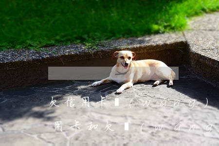 欠信用卡網(wǎng)貸就是不還了(欠信用卡和欠網(wǎng)貸哪個嚴重)