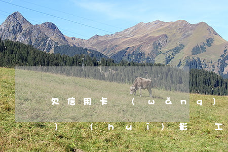 欠信用卡網(wǎng)貸幾十萬(wàn)會(huì)影響工作嗎-欠信用卡網(wǎng)貸幾十萬(wàn)會(huì)影響工作嗎知乎