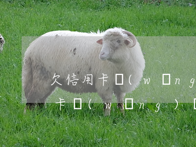 欠信用卡網(wǎng)貸幾十萬-欠信用卡網(wǎng)貸幾十萬起訴會坐牢嗎