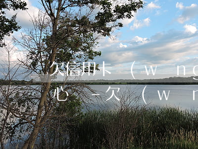 欠信用卡網(wǎng)貸幾十萬坐牢人的心聲-欠網(wǎng)貸信用卡幾十萬還不上怎么辦