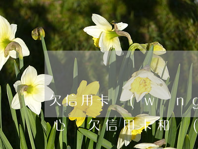 欠信用卡網(wǎng)貸幾十萬坐牢人的心聲(欠信用卡和網(wǎng)貸幾十萬無力償還)