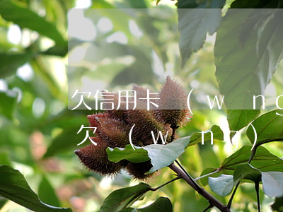 欠信用卡網(wǎng)貸幾十萬無力還款(欠網(wǎng)貸信用卡十幾萬還不上怎么辦)