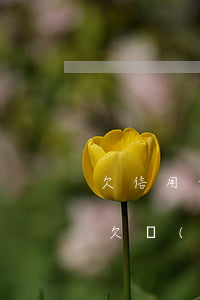 欠信用卡網(wǎng)貸幾十萬無邊償還(欠網(wǎng)貸信用卡十幾萬還不上怎么辦)