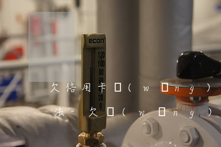 欠信用卡網(wǎng)貸幾十萬的自救方法-欠網(wǎng)貸信用卡幾十萬還不上怎么辦