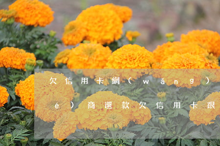欠信用卡網(wǎng)貸怎么去協(xié)商還款(欠信用卡跟銀行協(xié)商還款)