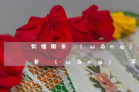 欠信用卡網(wǎng)貸怎么解決(欠信用卡網(wǎng)貸不還會坐牢嗎)