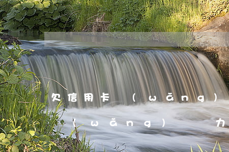 欠信用卡網(wǎng)貸怎么貸(欠信用卡網(wǎng)貸無力償還會怎樣)